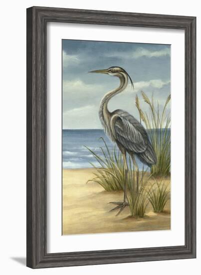 Shore Bird II-Ethan Harper-Framed Art Print