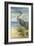 Shore Bird II-Ethan Harper-Framed Art Print