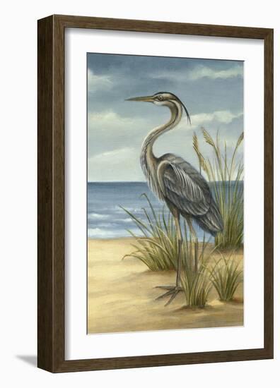 Shore Bird II-Ethan Harper-Framed Art Print