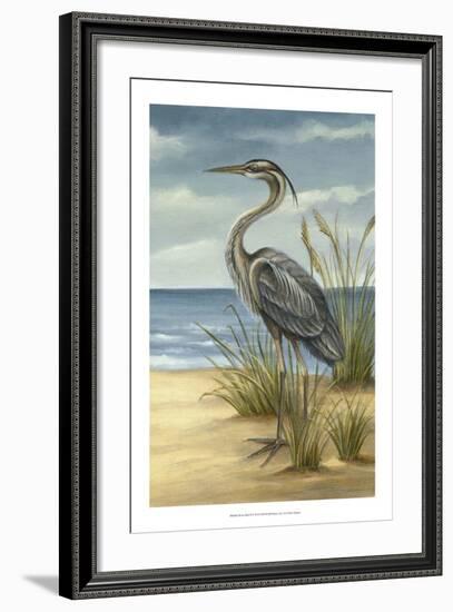 Shore Bird II-Ethan Harper-Framed Art Print