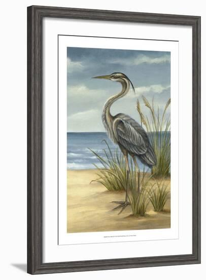 Shore Bird II-Ethan Harper-Framed Art Print