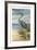 Shore Bird II-Ethan Harper-Framed Art Print