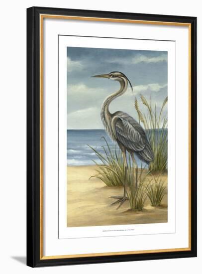 Shore Bird II-Ethan Harper-Framed Art Print