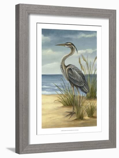 Shore Bird II-Ethan Harper-Framed Art Print