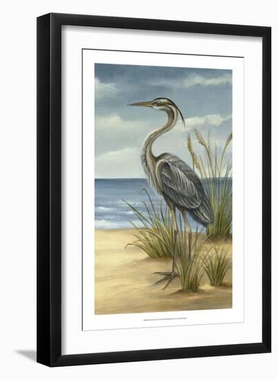 Shore Bird II-Ethan Harper-Framed Art Print