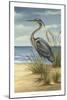 Shore Bird II-Ethan Harper-Mounted Art Print