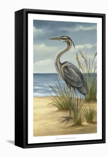 Shore Bird II-Ethan Harper-Framed Stretched Canvas