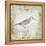 Shore Birds I-Kate McRostie-Framed Stretched Canvas