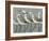 Shore Birds I-Norman Wyatt Jr.-Framed Art Print