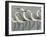 Shore Birds I-Norman Wyatt Jr.-Framed Art Print