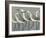 Shore Birds I-Norman Wyatt Jr.-Framed Art Print