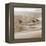 Shore Birds I-Danita Delimont-Framed Stretched Canvas