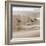 Shore Birds I-Danita Delimont-Framed Photo