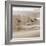 Shore Birds I-Danita Delimont-Framed Photo