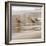 Shore Birds I-Danita Delimont-Framed Photo