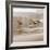 Shore Birds I-Danita Delimont-Framed Photo