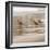 Shore Birds I-Danita Delimont-Framed Photo