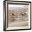 Shore Birds I-Danita Delimont-Framed Photo