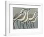 Shore Birds II-Norman Wyatt Jr.-Framed Art Print