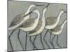 Shore Birds II-Norman Wyatt Jr.-Mounted Premium Giclee Print