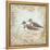 Shore Birds II-Kate McRostie-Framed Stretched Canvas