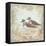 Shore Birds II-Kate McRostie-Framed Stretched Canvas