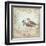 Shore Birds II-Kate McRostie-Framed Art Print