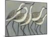 Shore Birds II-Norman Wyatt Jr.-Mounted Art Print