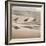 Shore Birds II-Danita Delimont-Framed Photo