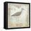 Shore Birds III-Kate McRostie-Framed Stretched Canvas