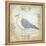 Shore Birds IV-Kate McRostie-Framed Stretched Canvas