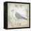 Shore Birds IV-Kate McRostie-Framed Stretched Canvas