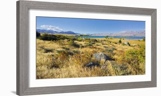 Shore of the Lake Tekapo, Canterbury, South Island, New Zealand-Rainer Mirau-Framed Photographic Print