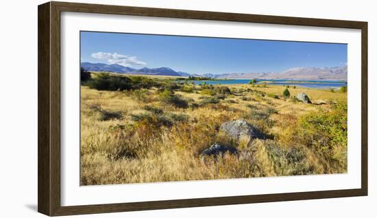 Shore of the Lake Tekapo, Canterbury, South Island, New Zealand-Rainer Mirau-Framed Photographic Print