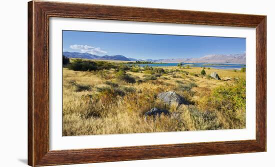 Shore of the Lake Tekapo, Canterbury, South Island, New Zealand-Rainer Mirau-Framed Photographic Print