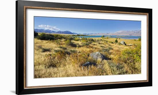 Shore of the Lake Tekapo, Canterbury, South Island, New Zealand-Rainer Mirau-Framed Photographic Print