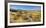 Shore of the Lake Tekapo, Canterbury, South Island, New Zealand-Rainer Mirau-Framed Photographic Print