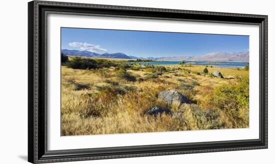 Shore of the Lake Tekapo, Canterbury, South Island, New Zealand-Rainer Mirau-Framed Photographic Print