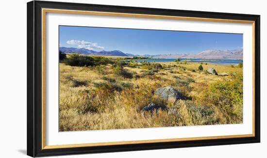 Shore of the Lake Tekapo, Canterbury, South Island, New Zealand-Rainer Mirau-Framed Photographic Print