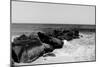 Shore Panorama II-Jeff Pica-Mounted Photographic Print