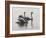 Shore Patrol-Bruce Dumas-Framed Giclee Print