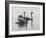 Shore Patrol-Bruce Dumas-Framed Giclee Print