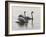 Shore Patrol-Bruce Dumas-Framed Giclee Print