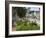 Shore Road, Ogunquit, Maine, USA-Lisa S. Engelbrecht-Framed Photographic Print