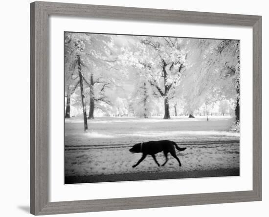 Shore Squad-Craig Satterlee-Framed Photographic Print