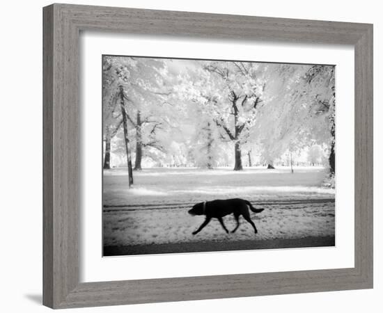 Shore Squad-Craig Satterlee-Framed Photographic Print