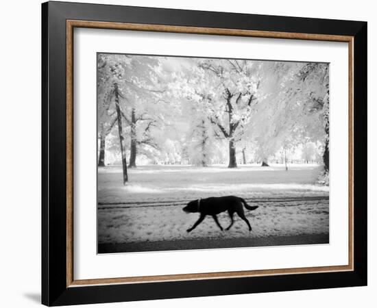 Shore Squad-Craig Satterlee-Framed Photographic Print