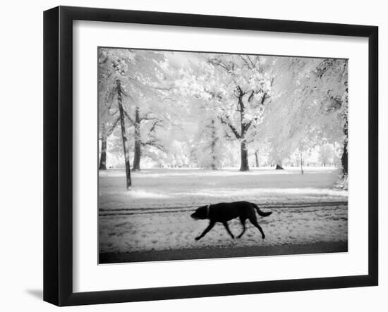 Shore Squad-Craig Satterlee-Framed Photographic Print