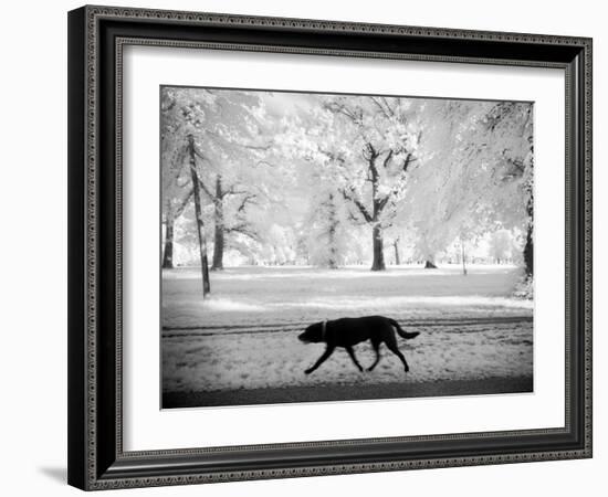 Shore Squad-Craig Satterlee-Framed Photographic Print