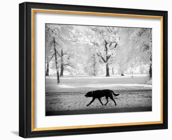 Shore Squad-Craig Satterlee-Framed Photographic Print